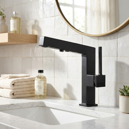 Lagomel pull-out single-hole bathroom faucet, set in a Traditional/Classic/Vintage/Retro bathroom