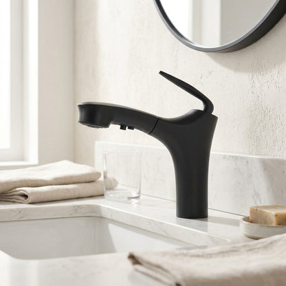 Lagomel pull-out single-hole bathroom faucet, set in a Traditional/Classic/Vintage/Retro bathroom