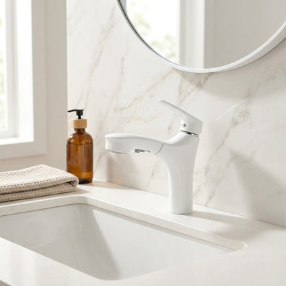 Lagomel pull-out single-hole bathroom faucet, set in a Traditional/Classic/Vintage/Retro bathroom