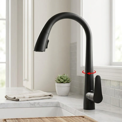 Lagomel pull-down single-handle faucet and drain set, set in a Modern/Contemporary kitchen