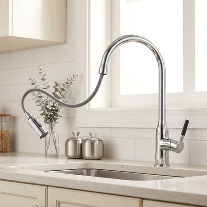 Lagomel single-handle pull-down kitchen faucet, set in a Modern/Contemporary kitchen