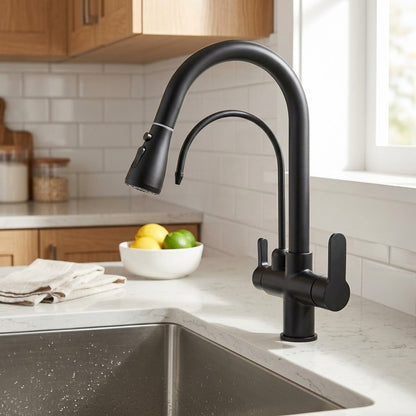 Lagomel pull-down kitchen faucet, set in a Modern/Contemporary kitchen
