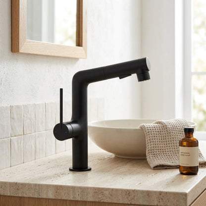 Lagomel pull-out single-hole bathroom faucet, set in a Traditional/Classic/Vintage/Retro bathroom