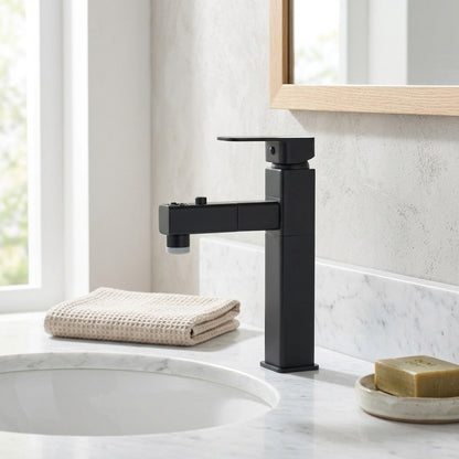 Lagomel pull-out single-hole bathroom faucet, set in a Traditional/Classic/Vintage/Retro bathroom