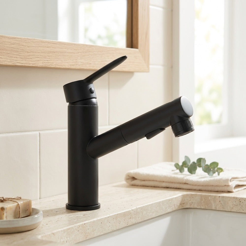 Lagomel pull-out single-hole bathroom faucet, set in a Traditional/Classic/Vintage/Retro bathroom
