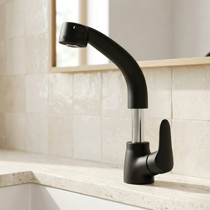Lagomel pull-out single-hole bathroom faucet in matte black, chrome, set in a Modern/Contemporary bathroom