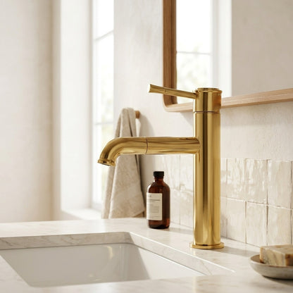 Lagomel pull-out single-hole bathroom faucet, set in a Traditional/Classic/Vintage/Retro bathroom