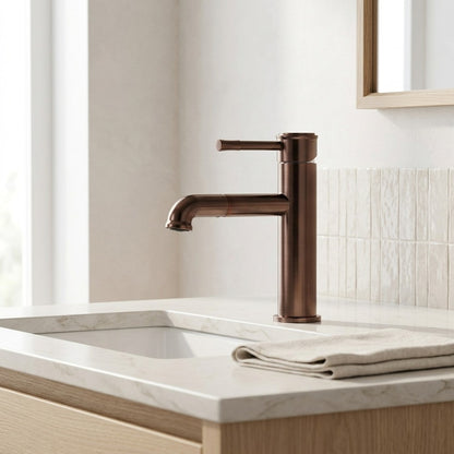Lagomel pull-out single-hole bathroom faucet, set in a Traditional/Classic/Vintage/Retro bathroom