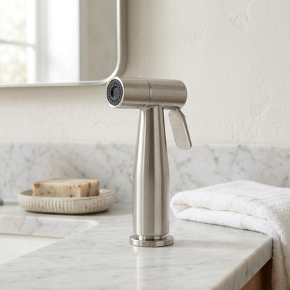 Lagomel wall-mounted bidet faucet, set in a Traditional/Classic/Vintage/Retro bathroom