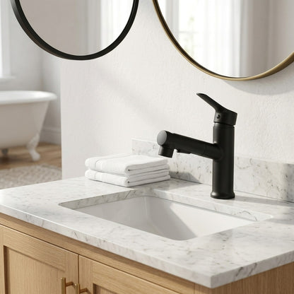Lagomel pull-out single-hole bathroom faucet in matte black, chrome, set in a Modern/Contemporary bathroom