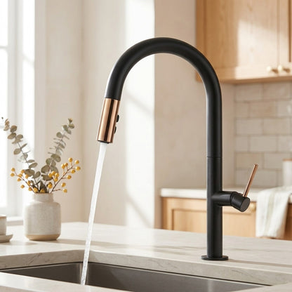 Lagomel single-handle pull-down kitchen faucet, set in a Modern/Contemporary kitchen