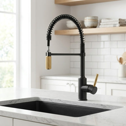 Lagomel single-handle pull-down kitchen faucet, set in a Modern/Contemporary kitchen