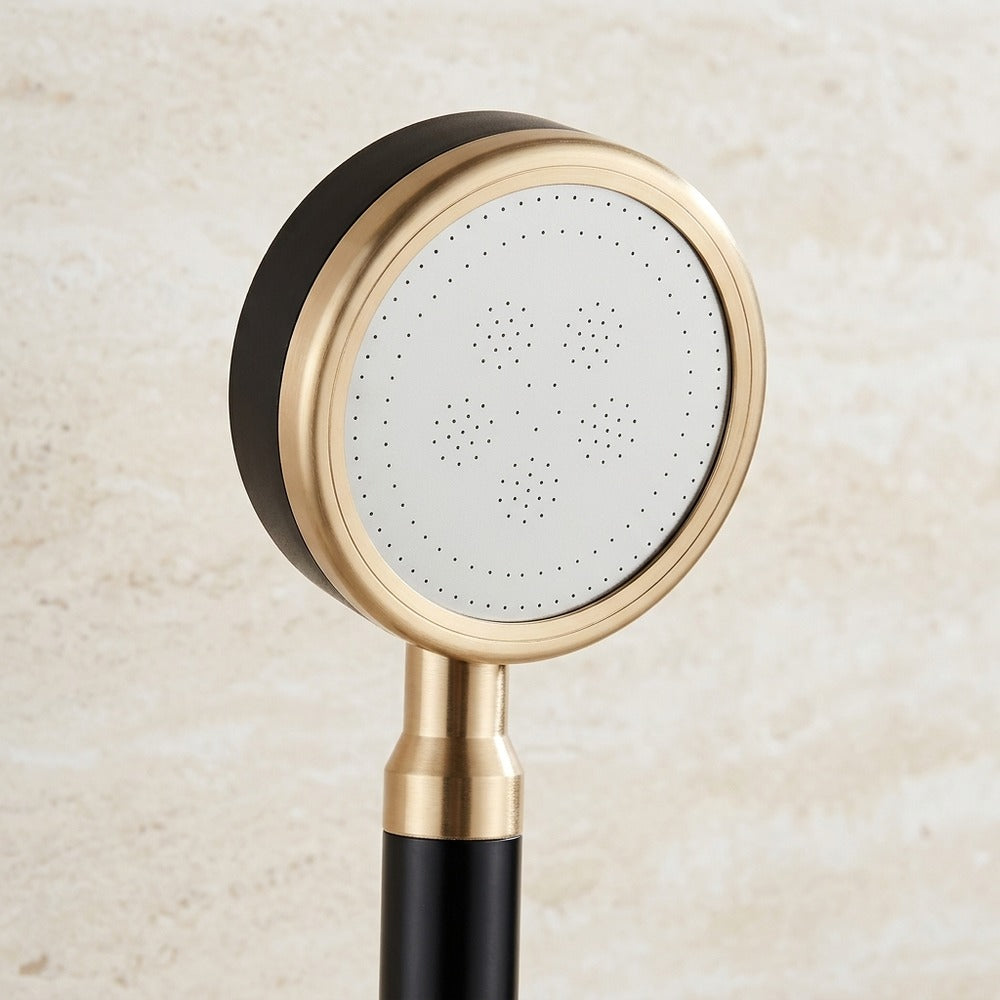 Lagomel hand shower in two-tone / mixed finish, set in a Modern bathroom