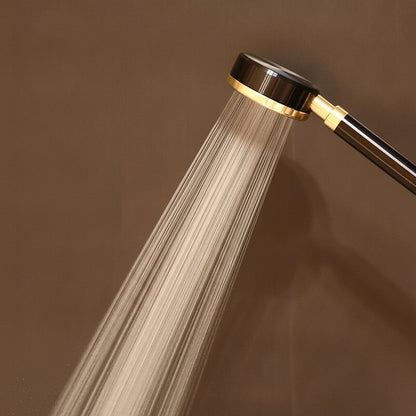 Water-Saving Filtered Handheld Shower Head, Modern Matte Black / Gold Shower Head