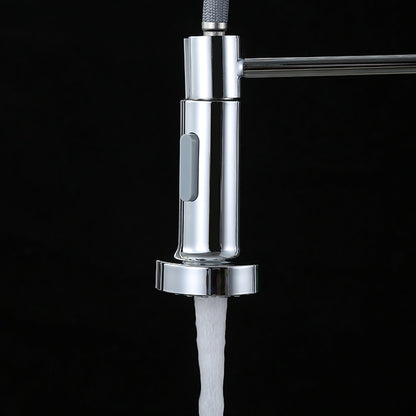 Stainless Steel Pre-Rinse Kitchen Faucet, Single-Handle Pull-Down Faucet, Chrome / Brushed Nickel