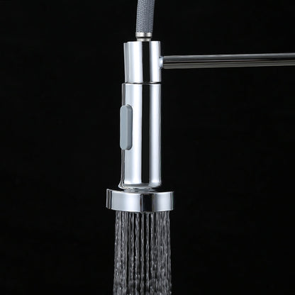 Stainless Steel Pre-Rinse Kitchen Faucet, Single-Handle Pull-Down Faucet, Chrome / Brushed Nickel