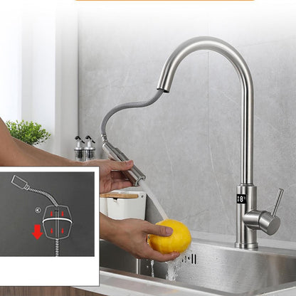 Touchless Sensor Stainless Steel Pull-Down Kitchen Faucet, Modern Single-Handle Digital Display Faucet