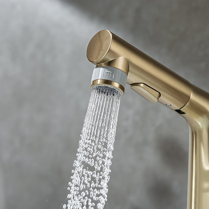 Modern Pull-Out Bathroom Sink Faucet, Single-Handle Swivel Spout Faucet, Brushed Gold / Chrome / Matte Black / Gunmetal
