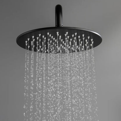 Rainfall Matte Black Wall-Mounted Shower System, Single-Handle Faucet with Handheld Shower