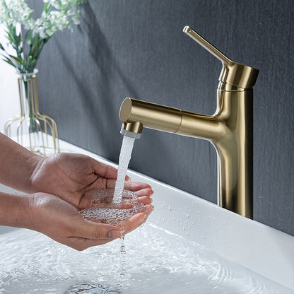 Pull-Out Single-Hole Bathroom Faucet, Modern Single-Handle Basin Faucet with 2-Mode Sprayer, Matte Black / Brushed Gold / Gunmetal
