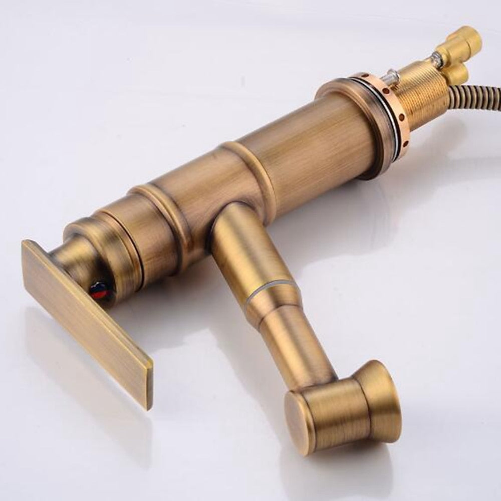 Traditional Single-Hole Bathroom Faucet, Single-Handle Pull-Out Faucet, Oil-Rubbed Bronze / Antique Brass