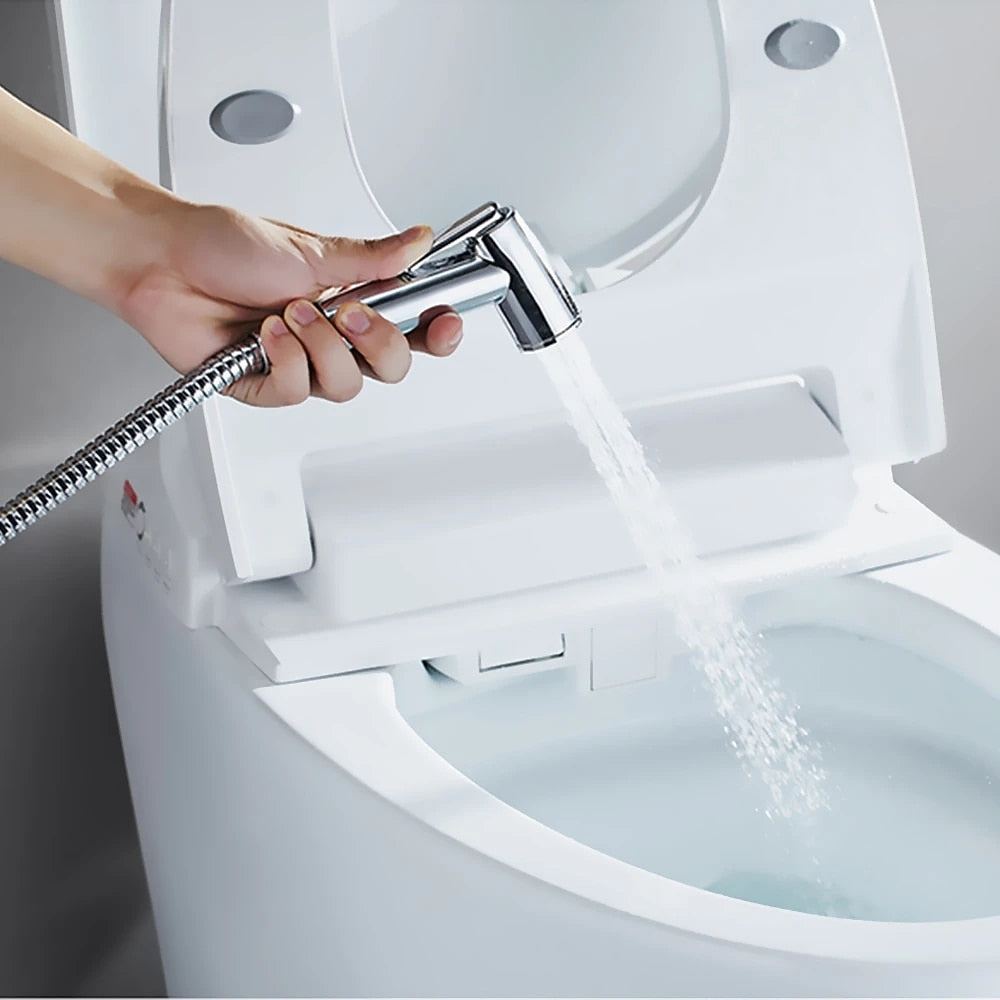 Handheld Toilet Bidet Sprayer, Wall-Mount Shattaf Sprayer Set with Hose, Silver / White