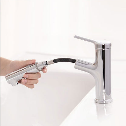 Pull-Out Single-Hole Bathroom Faucet, Single-Handle Basin Tap, Matte Black / Chrome
