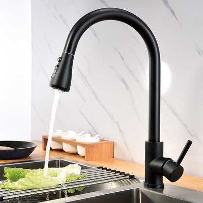 Matte Black Modern Single-Hole Kitchen Faucet, Single-Handle Pull-Down Sprayer Faucet