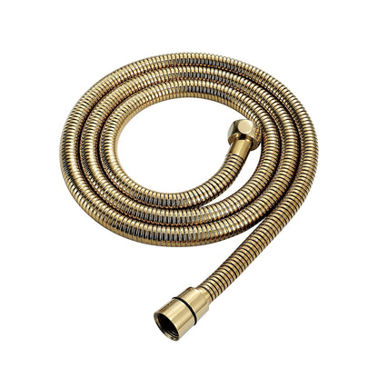 Polished Gold Contemporary Brass Handheld Bidet Sprayer, Single-Handle Toilet Diaper Sprayer with 1.5m Hose