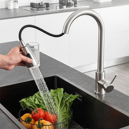Stainless Steel Pull-Down Kitchen Faucet, Single-Handle Modern High-Arc Faucet