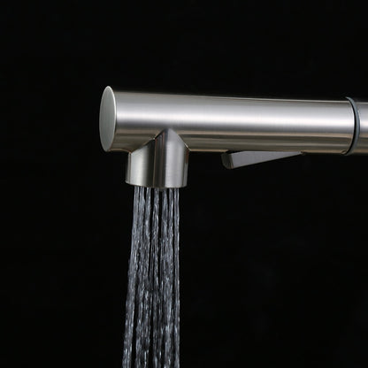 Brushed Nickel Stainless Steel Pull-Down Kitchen Faucet, Single-Hole Single-Handle Faucet, Modern Swivel Spout Faucet