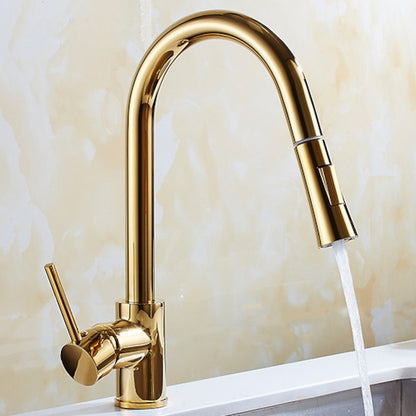 Polished Brass Pull-Down Kitchen Faucet, Single-Hole Single-Handle High Arc Swivel Brass Faucet