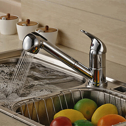 Chrome Dual-Function Faucet Replacement Spray Head, Pull-Down Kitchen Faucet Nozzle