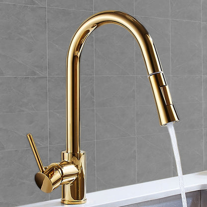 Polished Brass Pull-Down Kitchen Faucet, Single-Hole Single-Handle High Arc Swivel Brass Faucet