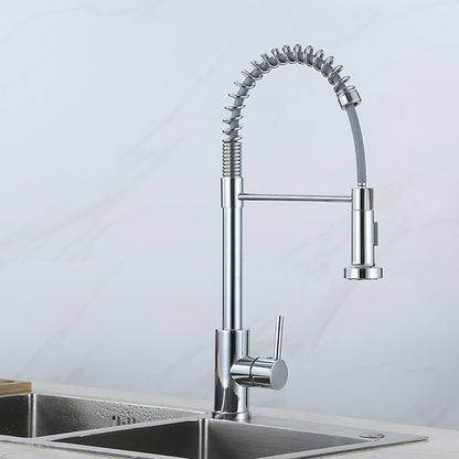 Stainless Steel Pre-Rinse Kitchen Faucet, Single-Handle Pull-Down Faucet, Chrome / Brushed Nickel
