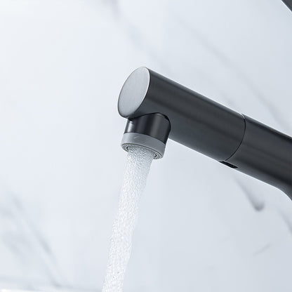 Pull-Out Single-Hole Bathroom Faucet, Modern Single-Handle Basin Faucet with 2-Mode Sprayer, Matte Black / Brushed Gold / Gunmetal