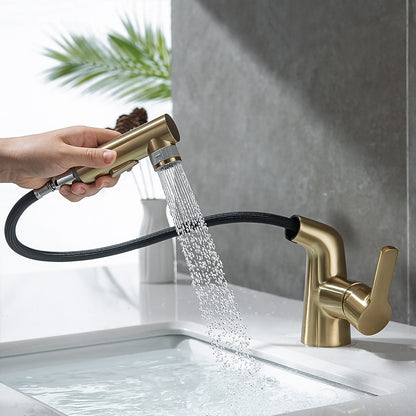 Modern Pull-Out Bathroom Sink Faucet, Single-Handle Swivel Spout Faucet, Brushed Gold / Chrome / Matte Black / Gunmetal