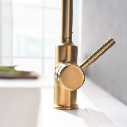 Pull-Down High-Arc Kitchen Faucet, Single-Handle Brass Faucet