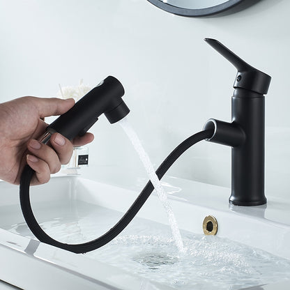 Modern Pull-Out Spray Bathroom Faucet, Single-Handle Brass Faucet, Matte Black / Chrome
